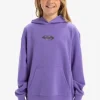Quiksilver APOG Heritage - Sweat à capuche pour Garçon 8-16 DUSTEDPERI Fashion