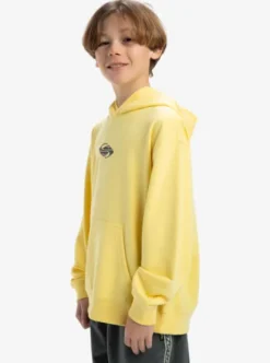 Quiksilver APOG Heritage - Sweat à capuche pour Garçon 8-16 POPCORN Discount