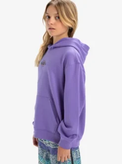 Quiksilver APOG Heritage - Sweat à capuche pour Garçon 8-16 DUSTEDPERI Fashion