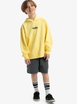Quiksilver APOG Heritage - Sweat à capuche pour Garçon 8-16 POPCORN Discount