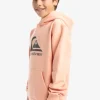 Quiksilver Big Logo - Sweat à capuche pour Garçon 8-16 PEACHPARFAIT Clearance