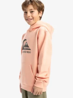 Quiksilver Big Logo - Sweat à capuche pour Garçon 8-16 PEACHPARFAIT Clearance