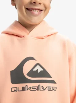 Quiksilver Big Logo - Sweat à capuche pour Garçon 8-16 PEACHPARFAIT Clearance