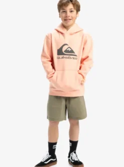Quiksilver Big Logo - Sweat à capuche pour Garçon 8-16 PEACHPARFAIT Clearance
