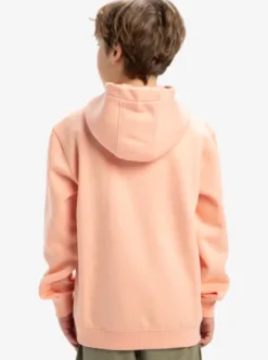 Quiksilver Big Logo - Sweat à capuche pour Garçon 8-16 PEACHPARFAIT Clearance