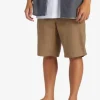 Quiksilver Carpenter - Short pour Homme TIMBERWOLF Discount