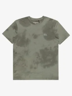 Quiksilver Coastal Run - T-shirt pour Homme COASTRUNSEASSPRAY Fashion