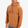 Quiksilver Comp Logo - Sweat à capuche pour Homme BRAN Online