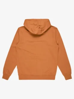 Quiksilver Comp Logo - Sweat à capuche pour Homme BRAN Online
