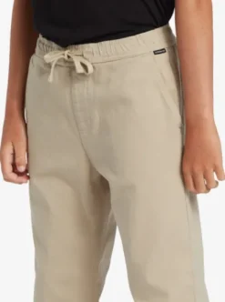 Quiksilver DNA Beach - Pantalon taille fixe pour Garçon 8-16 PLAZATAUPE Clearance