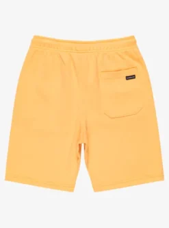 Quiksilver Easy Day - Short à taille élastique pour Garçon 8-16 CHAMOIS Hot