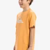Quiksilver EV Comp Logo - T-shirt à manches courtes pour Garçon 8-16 CHAMOIS New