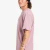 Quiksilver Ev Comp Logo - T-Shirt à manches courtes pour Homme ELDERBERRY Clearance