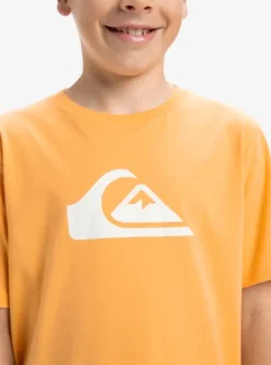 Quiksilver EV Comp Logo - T-shirt à manches courtes pour Garçon 8-16 CHAMOIS New