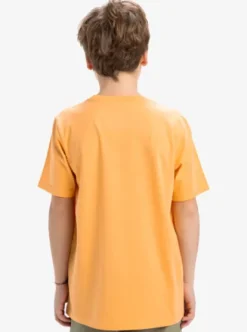 Quiksilver EV Comp Logo - T-shirt à manches courtes pour Garçon 8-16 CHAMOIS New