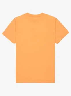 Quiksilver EV Comp Logo - T-shirt à manches courtes pour Garçon 8-16 CHAMOIS New