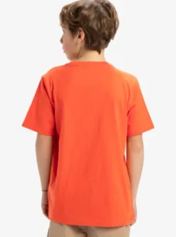 Quiksilver Ev Locked Up - T-shirt à manches courtes pour Garçon 8-16 TIGERLILY Hot