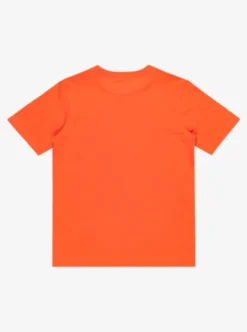 Quiksilver Ev Locked Up - T-shirt à manches courtes pour Garçon 8-16 TIGERLILY Hot