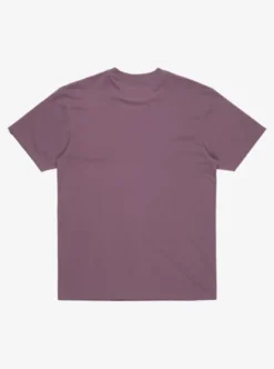 Quiksilver Ev Mini Logo - T-shirt à manches courtes pour Homme VINTAGEVIOLET Hot