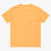 Quiksilver Ev Sun Faded - T-shirt à manches courtes pour Garçon 8-16 CHAMOIS Best