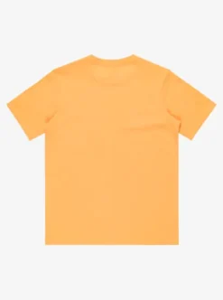 Quiksilver Ev Sun Faded - T-shirt à manches courtes pour Garçon 8-16 CHAMOIS Best