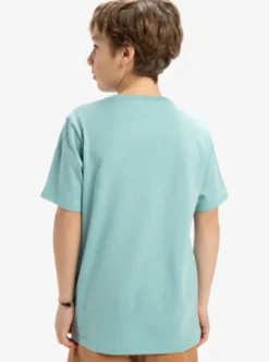 Quiksilver Ev Sun Faded - T-shirt à manches courtes pour Garçon 8-16 AQUIFER Fashion