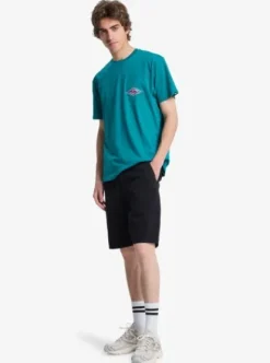 Quiksilver Everyday 20