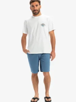 Quiksilver Everyday 20