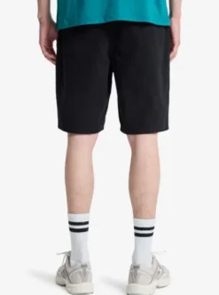 Quiksilver Everyday 20