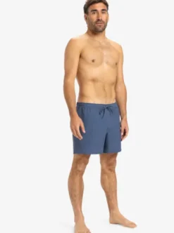 Quiksilver Everyday Flex Volley 15