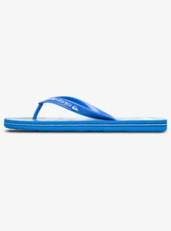 Quiksilver Molokai Art 25 - Tongs pour Homme ESTATEBLUEBIOPHILIA Clearance
