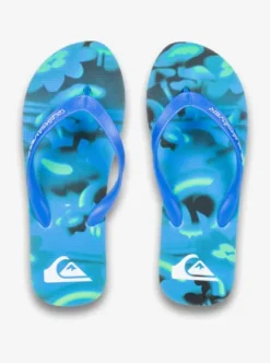 Quiksilver Molokai Art 25 - Tongs pour Homme ESTATEBLUEBIOPHILIA Clearance