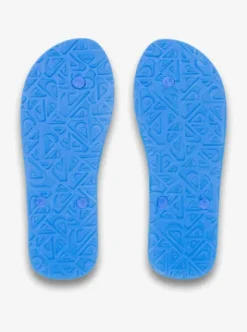 Quiksilver Molokai Art 25 - Tongs pour Homme ESTATEBLUEBIOPHILIA Clearance