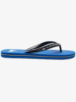 Quiksilver Molokai Core - Tongs pour Homme BLUE1 Best