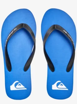 Quiksilver Molokai Core - Tongs pour Homme BLUE1 Best