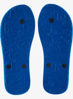 Quiksilver Molokai Core - Tongs pour Homme BLUE1 Best