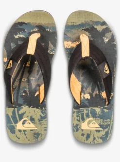 Quiksilver Molokai Layback - Sandales pour Homme GRAPELEAFTROPICAMO Online