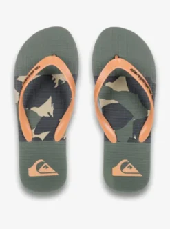 Quiksilver Molokai Stripe 25 - Tongs pour Homme GRAPELEAFHANDTMAN Online