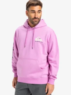 Quiksilver Omni Logo - Sweat à capuche pour Homme VIOLET Discount