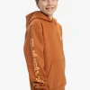 Quiksilver Omni Logo - Sweat à capuche pour Garçon 8-16 BRAN Outlet