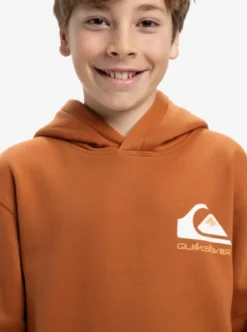 Quiksilver Omni Logo - Sweat à capuche pour Garçon 8-16 BRAN Outlet
