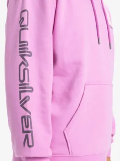 Quiksilver Omni Logo - Sweat à capuche pour Homme VIOLET Discount