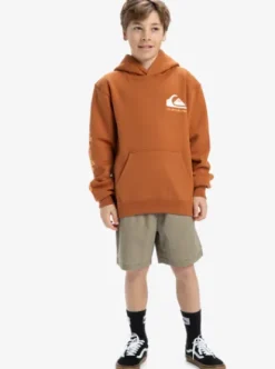 Quiksilver Omni Logo - Sweat à capuche pour Garçon 8-16 BRAN Outlet