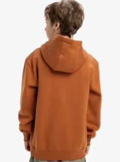 Quiksilver Omni Logo - Sweat à capuche pour Garçon 8-16 BRAN Outlet