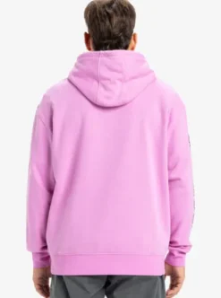 Quiksilver Omni Logo - Sweat à capuche pour Homme VIOLET Discount