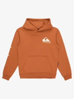 Quiksilver Omni Logo - Sweat à capuche pour Garçon 8-16 BRAN Outlet