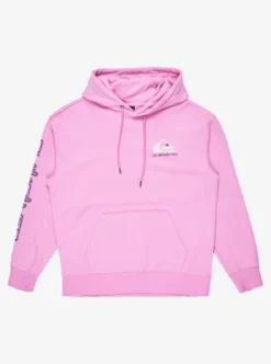 Quiksilver Omni Logo - Sweat à capuche pour Homme VIOLET Discount
