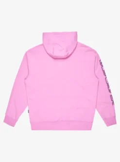 Quiksilver Omni Logo - Sweat à capuche pour Homme VIOLET Discount