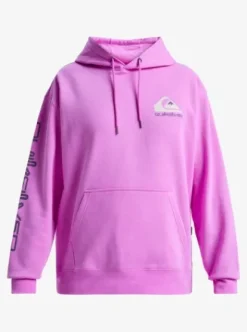 Quiksilver Omni Logo - Sweat à capuche pour Homme VIOLET Discount