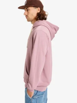 Quiksilver Salt Water - Sweat à capuche pour Homme ELDERBERRY Clearance